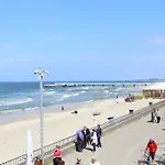 Polanki